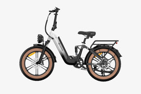 X3 Step-thru Fat Tire